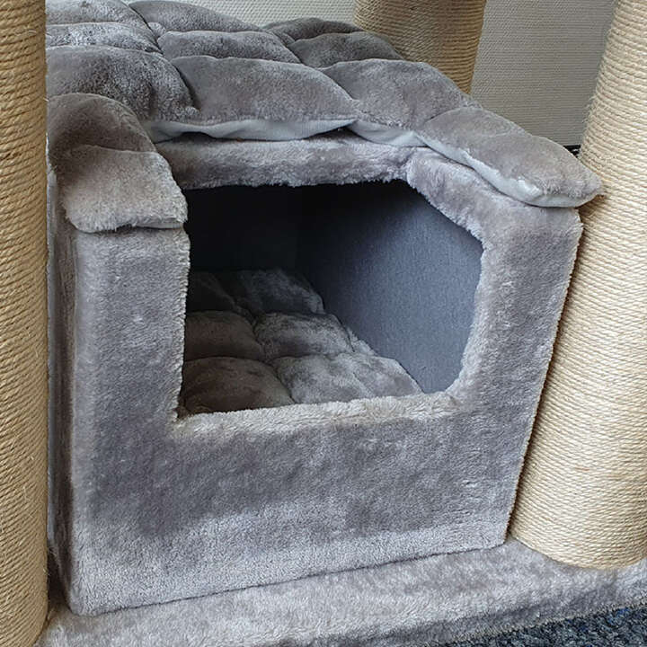 Nobby Kratzbaum Rubi